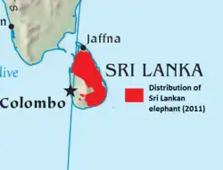 Areál rozšíření