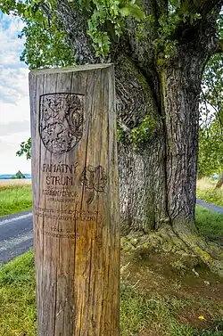 detail označení stromu