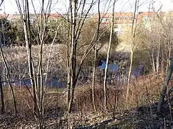 Střešovický rybník od jihozápadu (v zimě)