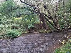 Střela na začátku hraničního úseku svého toku