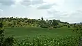 Pohled na střelecký kopec směrem od Medláneckého kopce