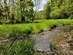 Střelenský potok a ruiny Velkostřelenského Mlýna