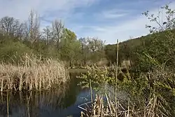 Střelická bažinka (2012)