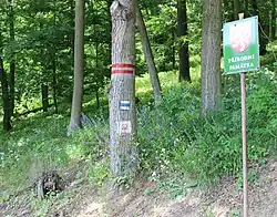 Střelický les (2013)