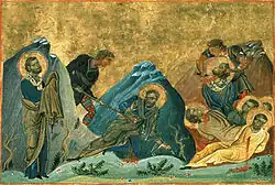 Stachys, Amplias a Urban (vlevo)