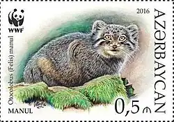 Manul na známce Ázerbájdžánu