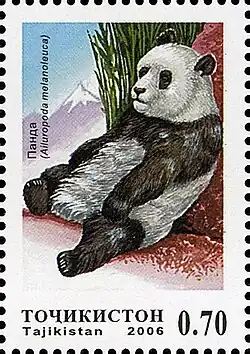 Tádžikistán (2006)