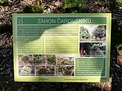 Stanoviště 2: Záhon čarověníků