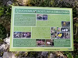 Stanoviště 3: Suchomilné rostliny a cibuloviny