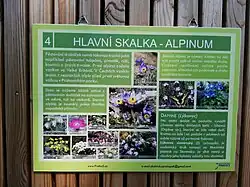 Stanoviště 4: Hlavní skalka – alpinum