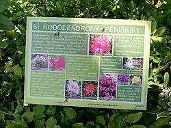 Stanoviště 5: Rododendrony – pěnišníky