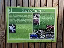 Stanoviště 6: Spárová skalka