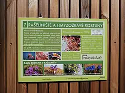 Stanoviště 7: Rašeliniště a hmyzožravé rostliny