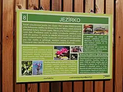 Stanoviště 8: Jezírko