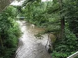 Labe ve Stanovicích