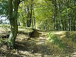 Úvoz na okraji lesa mezi plošinou Amerika u Dřevčic a rozcestím před Martinskými stěnami v Roverských skalách. Vlevo základy menší stavby, zatesané do skály.