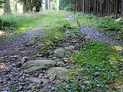 Stará císařská silnice mezi sv. Prokopem nad Vamberkem a Rybnou nad Zdobnicí (2).JPG