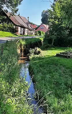 Starobucký potok ve Starých Bucích