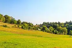 Staré Hutě u Kaliště