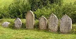 ŽH Staré Město pod Landštejnem