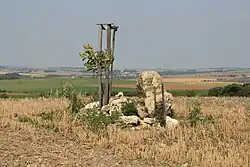 Vrcholová kóta Starých vinohrad