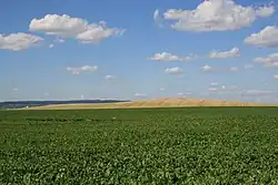 Staré vinohrady od jihozápadu