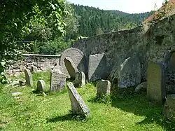 Starý ŽH Rožmberk nad Vltavou