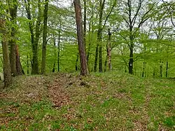 Terénní zbytky hradu Starý Plumlov