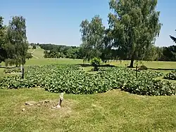 Pohled na hřbitov s viditelným památníkem v dáli