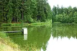 Starý farský rybník (Sichelteichl)