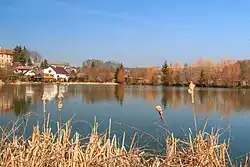 Starohradský rybník