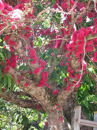 alternativní popis obrázku chybí