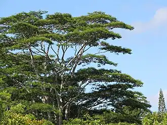 alternativní popis obrázku chybí