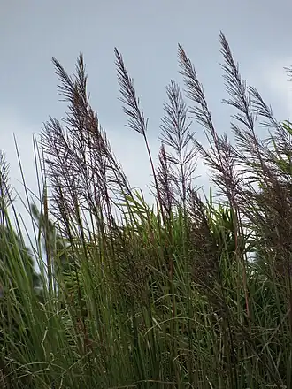 alternativní popis obrázku chybí