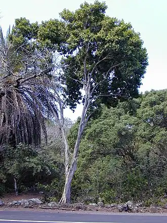 alternativní popis obrázku chybí