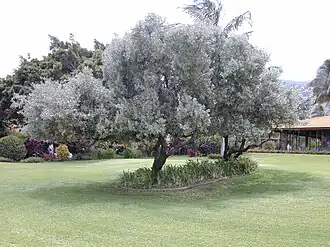 alternativní popis obrázku chybí