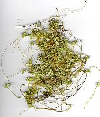 alternativní popis obrázku chybí