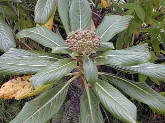 alternativní popis obrázku chybí