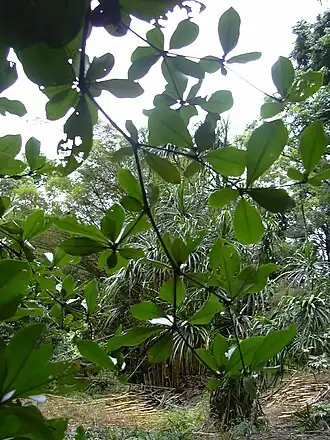 alternativní popis obrázku chybí