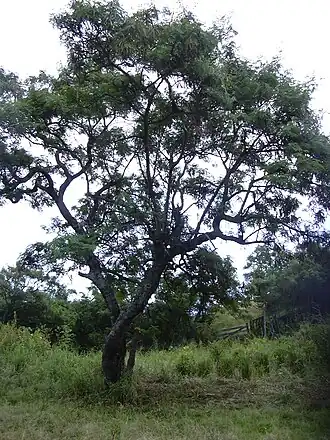 alternativní popis obrázku chybí