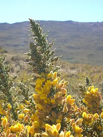 alternativní popis obrázku chybí