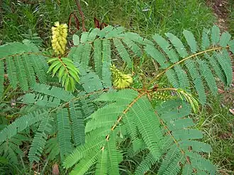 alternativní popis obrázku chybí