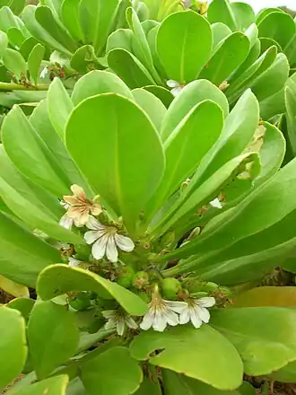 alternativní popis obrázku chybí