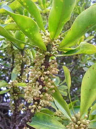 alternativní popis obrázku chybí