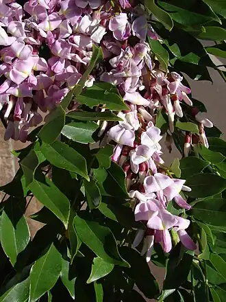 alternativní popis obrázku chybí