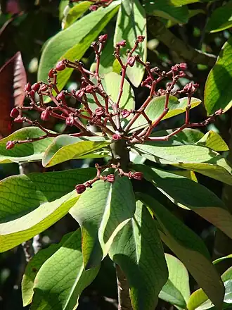 alternativní popis obrázku chybí