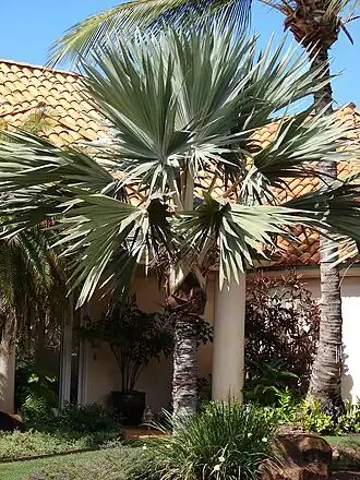 alternativní popis obrázku chybí