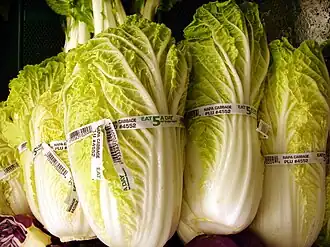 alternativní popis obrázku chybí