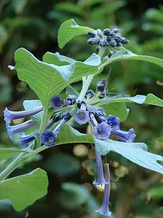 alternativní popis obrázku chybí