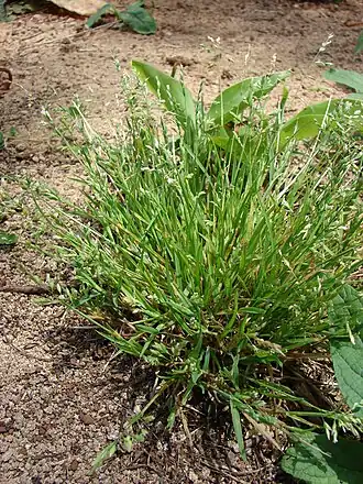 alternativní popis obrázku chybí